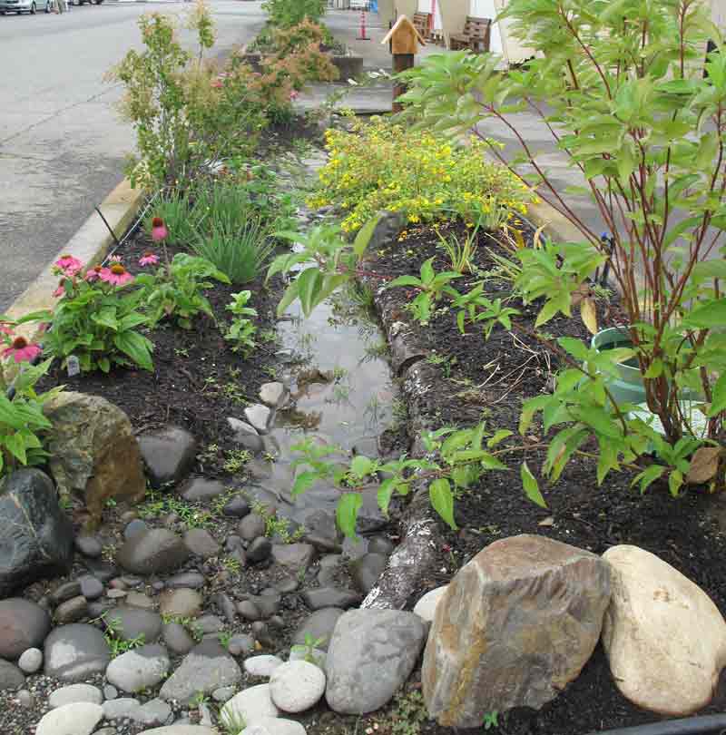 RainGarden