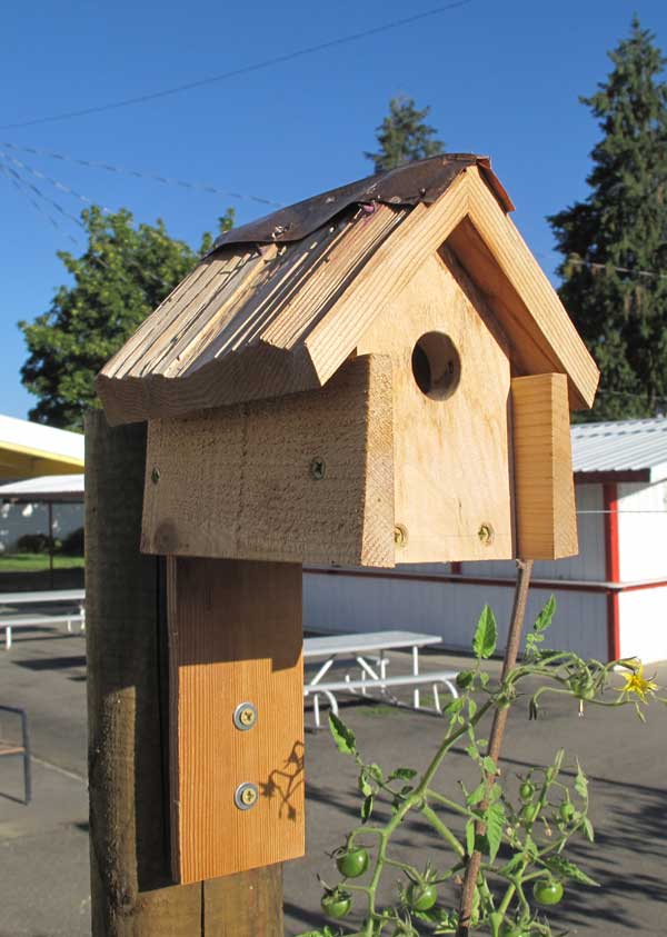 BirdhouseOnPost