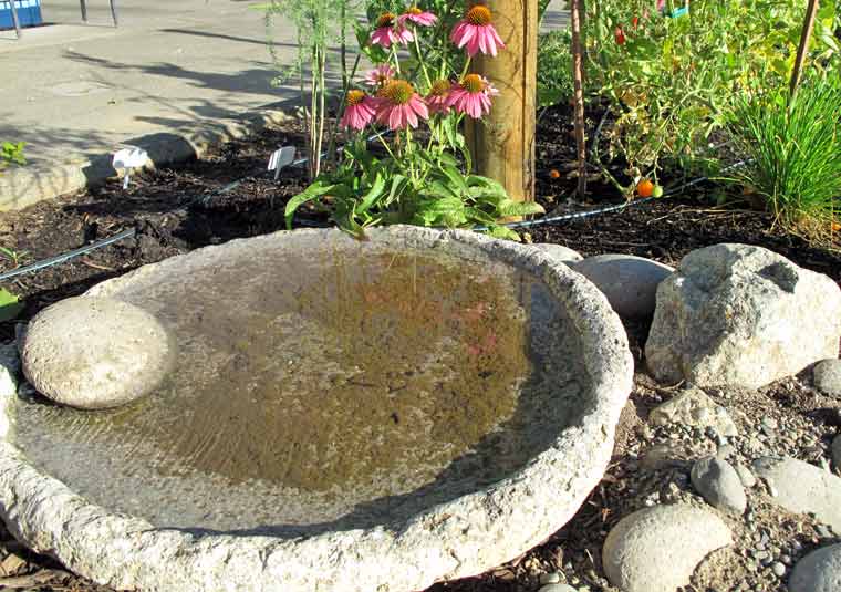 Permaculture-birdbat