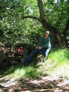 gilbertcreekparkrestoration
