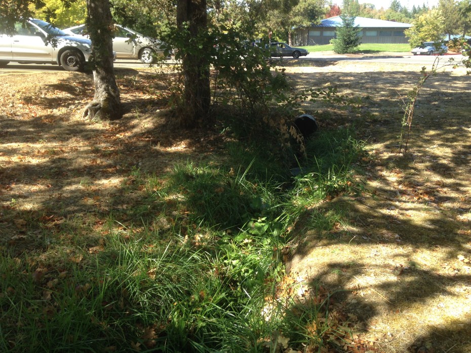 rccraingardenproject1