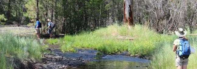 OSU-MasterNaturalistProgram