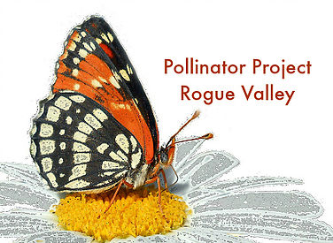 ThePollinatorProjectRogueValley