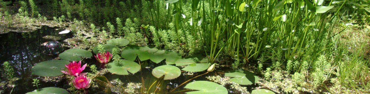 Project Drawdown 100 Solutions To Climate Change